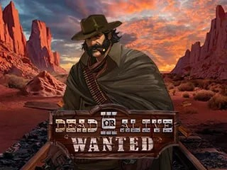 Dead or Alive 3 Wanted